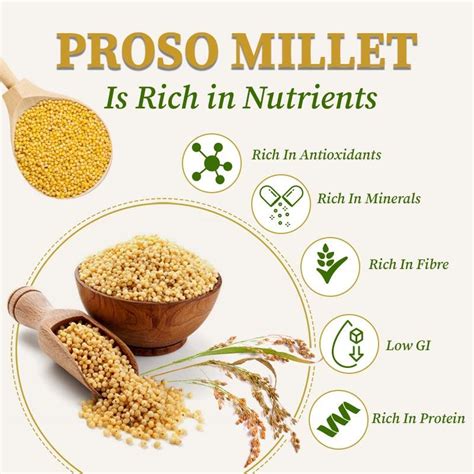 hd porso|Nutrition & Health Benefits of Proso Millet